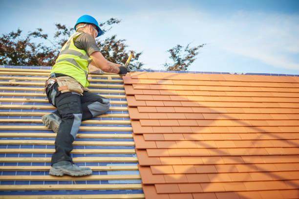 Best Roof Moss and Algae Removal  in Island Park, NY